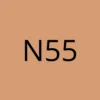 N55